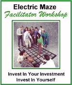 Electric Maze Facilitator Workshop Brochure