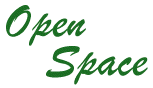 Open Space Technology